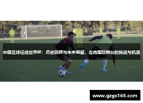 中国足球征战世界杯：历史回顾与未来展望，走向国际舞台的挑战与机遇