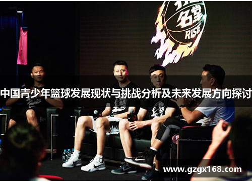 中国青少年篮球发展现状与挑战分析及未来发展方向探讨